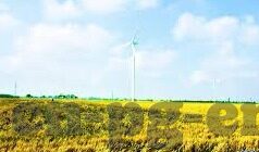 足球比分已完场-足球比分已完场，赛场风云的终章与记忆的定格