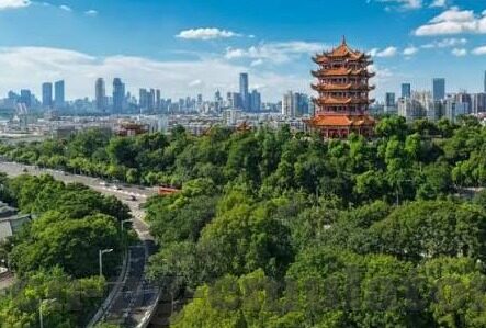 足球比分纸币-足球比分纸币，赛场激情与货币文化的奇妙碰撞