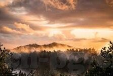 足球比分直播 捷报网-足球比分直播新势力，捷报网如何成为球迷的信息战场利器